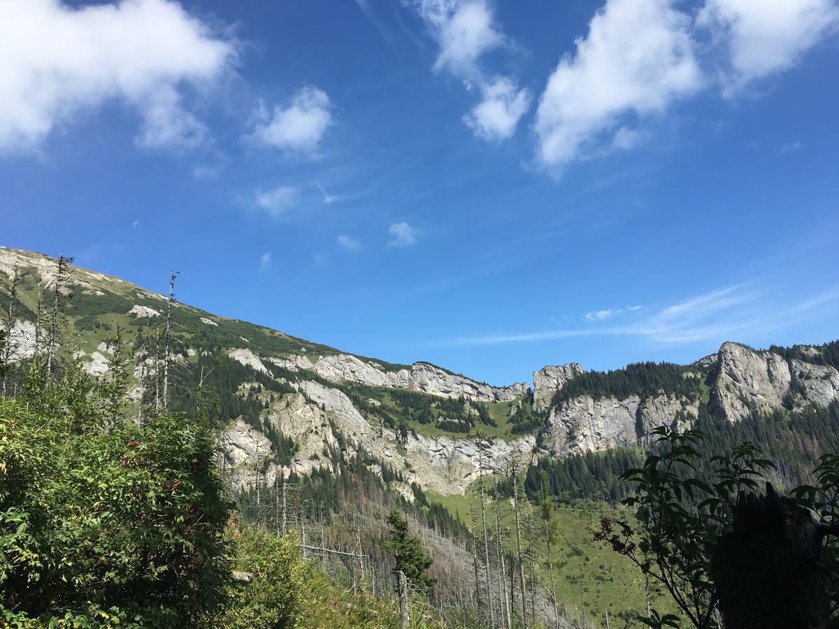 Vysoké Tatry Central Apartmany מראה חיצוני תמונה