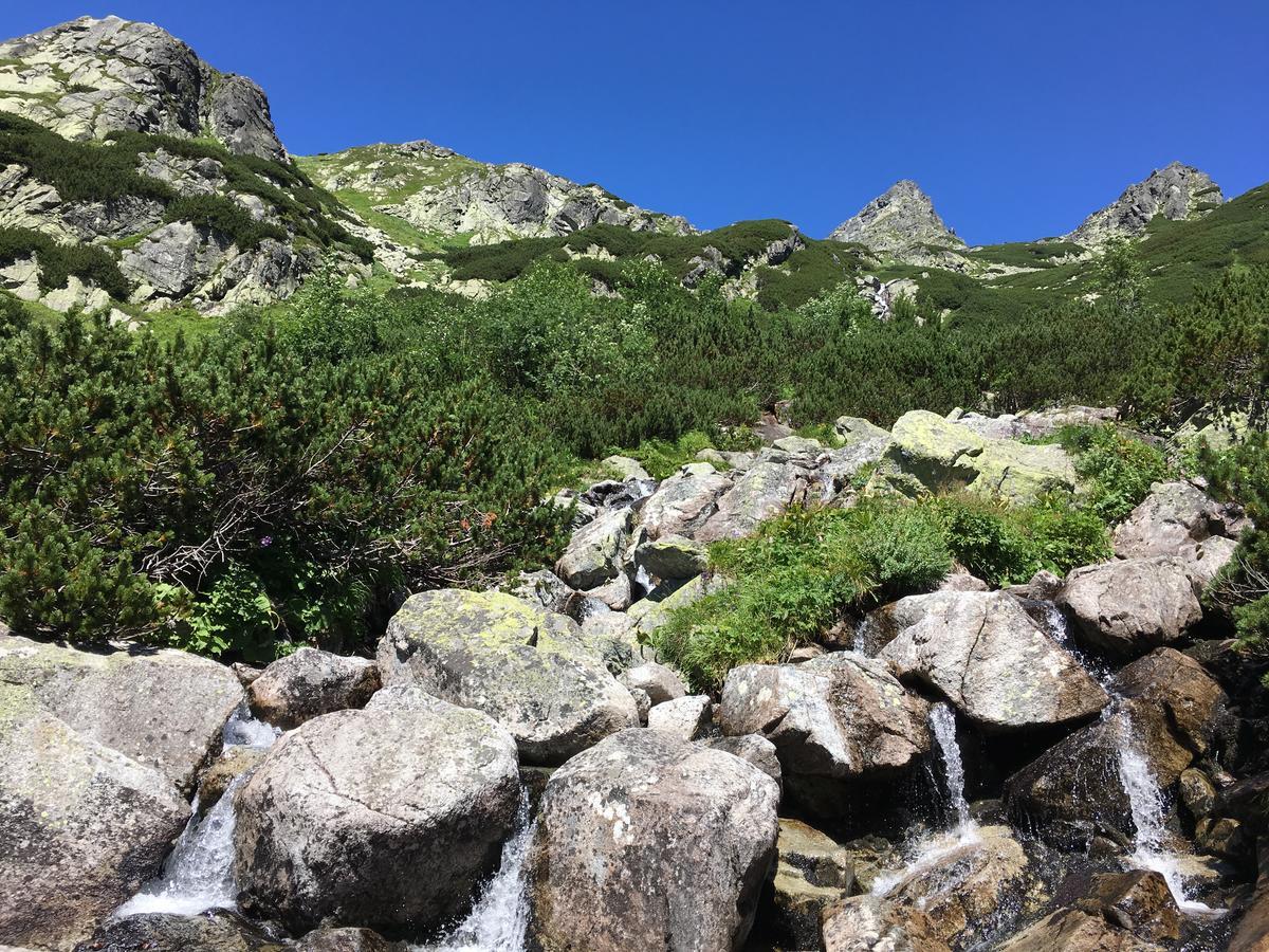 Vysoké Tatry Central Apartmany מראה חיצוני תמונה